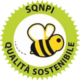 logo SQNPI